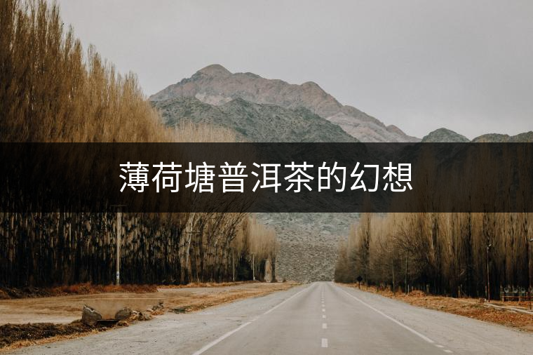 薄荷塘普洱茶的幻想