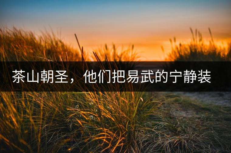 茶山朝圣，他們把易武的寧靜裝進心里，卻把成堆垃圾留在