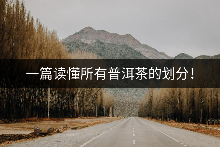 一篇讀懂所有普洱茶的劃分！