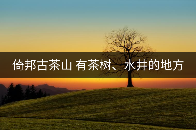 倚邦古茶山 有茶樹、水井的地方