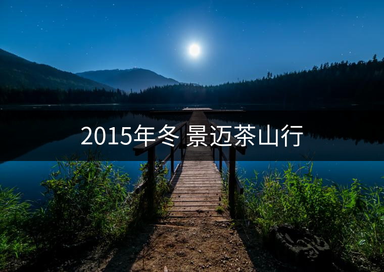 2015年冬 景邁茶山行 2015年冬 景邁茶山行