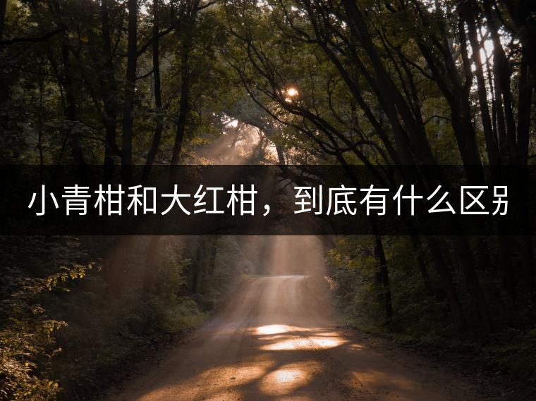 小青柑和大紅柑，到底有什么區(qū)別？
