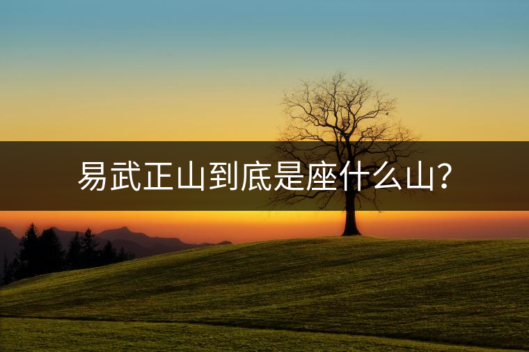 易武正山到底是座什么山？