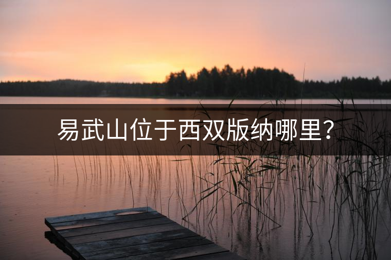 易武山位于西雙版納哪里？