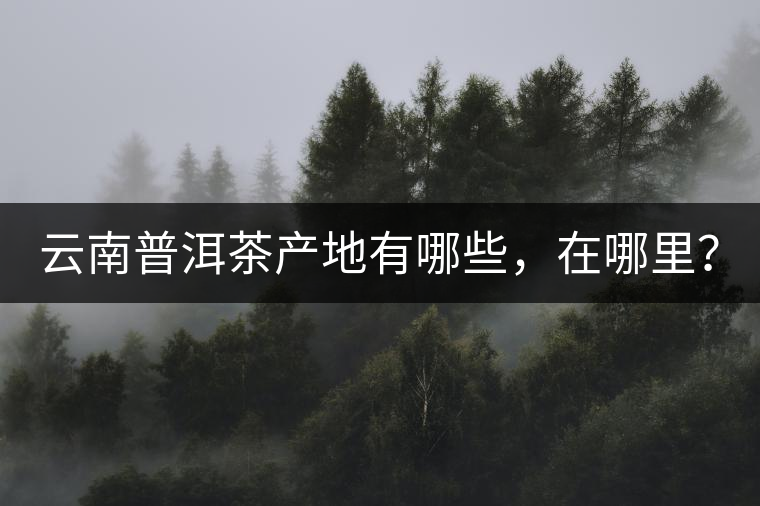 云南普洱茶產(chǎn)地有哪些，在哪里？