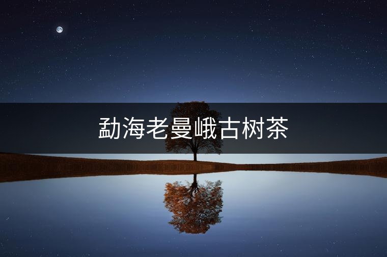 勐海老曼峨古樹(shù)茶