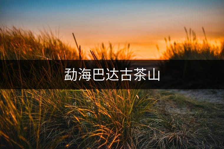 勐海巴達古茶山