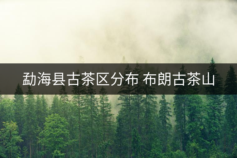 勐?？h古茶區(qū)分布 布朗古茶山