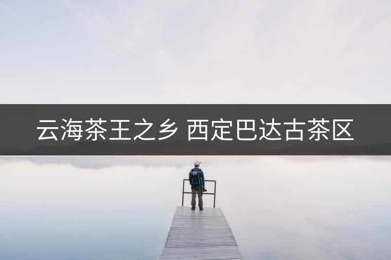 云海茶王之鄉(xiāng) 西定巴達(dá)古茶區(qū)