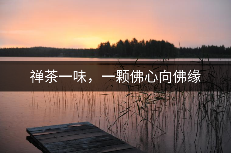 禪茶一味，一顆佛心向佛緣