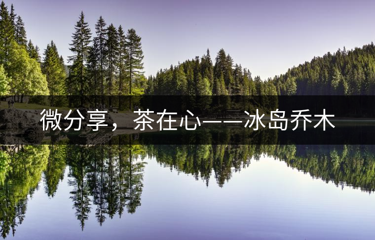 微分享，茶在心——冰島喬木