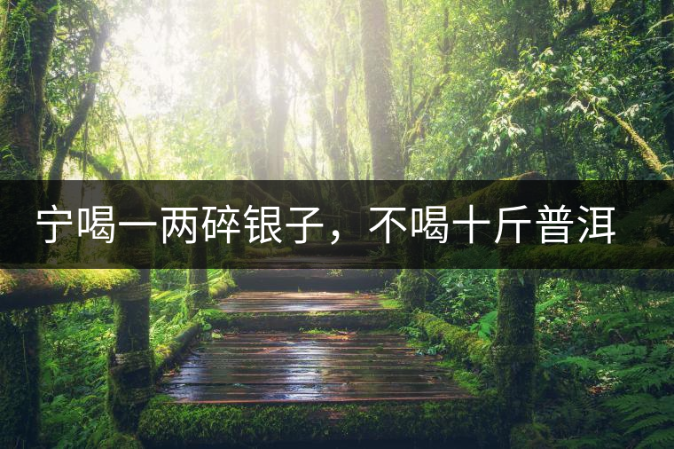 寧喝一兩碎銀子，不喝十斤普洱茶