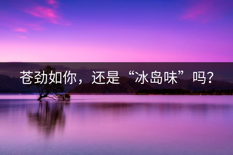 蒼勁如你，還是“冰島味”嗎？