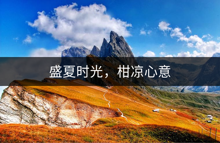 盛夏時(shí)光，柑涼心意