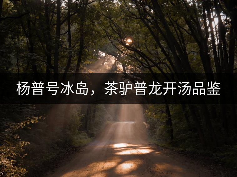 楊普號冰島，茶驢普龍開湯品鑒