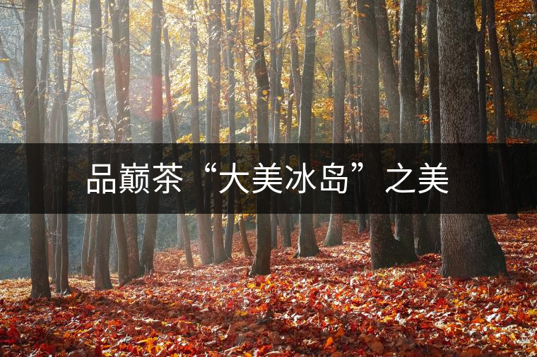 品巔茶“大美冰島”之美 品巔茶“大美冰島”之美