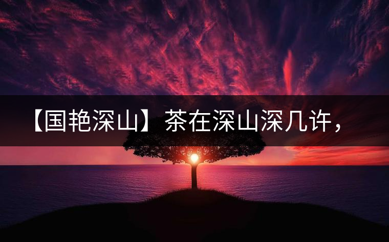 【國艷深山】茶在深山深幾許，布朗味釅釅幾分！