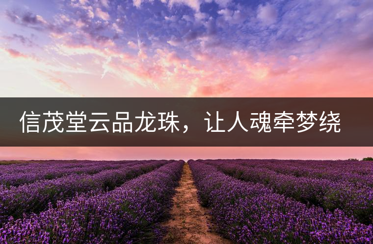信茂堂云品龍珠，讓人魂牽夢繞的尤物