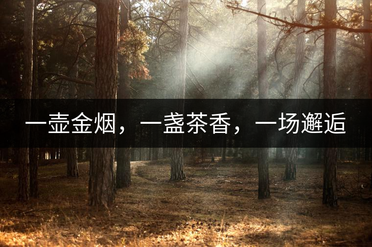 一壺金煙，一盞茶香，一場邂逅