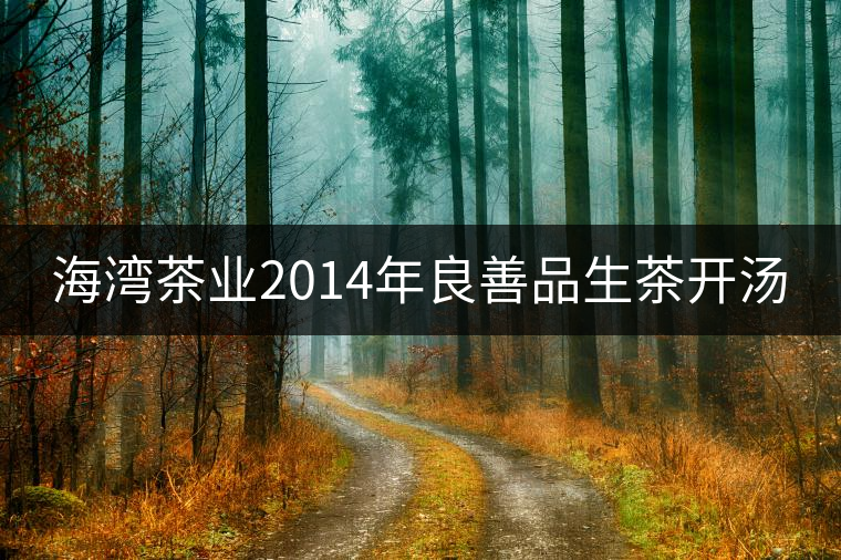 海灣茶業(yè)2014年良善品生茶開(kāi)湯