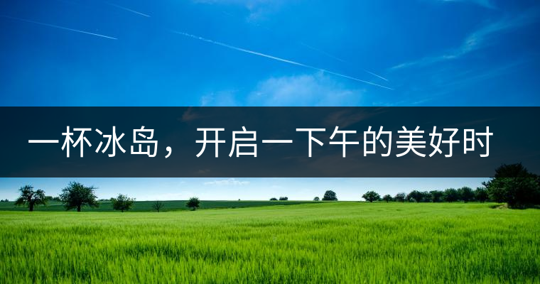 一杯冰島，開啟一下午的美好時光