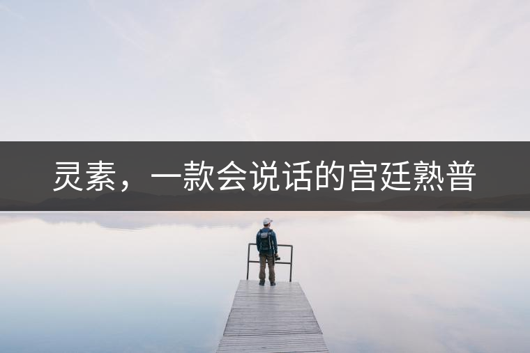 靈素，一款會(huì)說(shuō)話的宮廷熟普