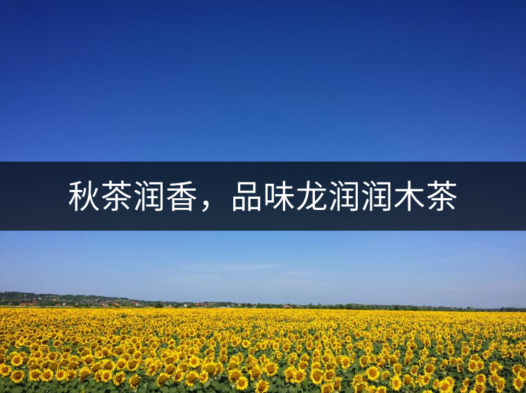 秋茶潤香，品味龍潤潤木茶