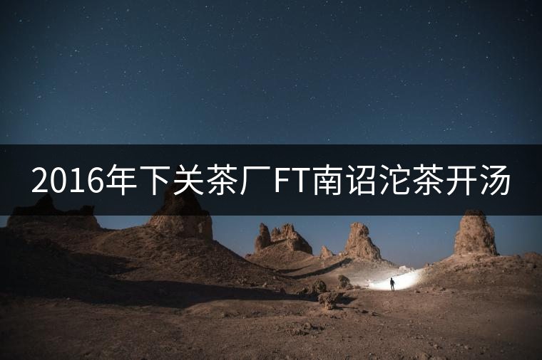 2016年下關(guān)茶廠FT南詔沱茶開湯