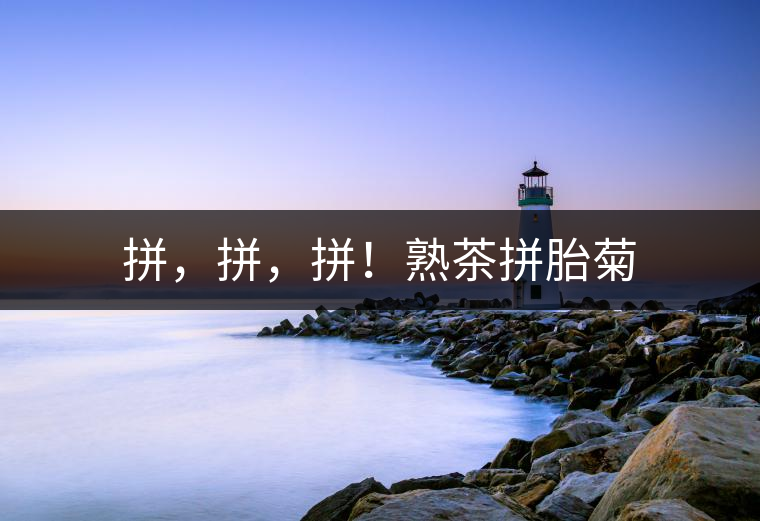 拼，拼，拼！熟茶拼胎菊