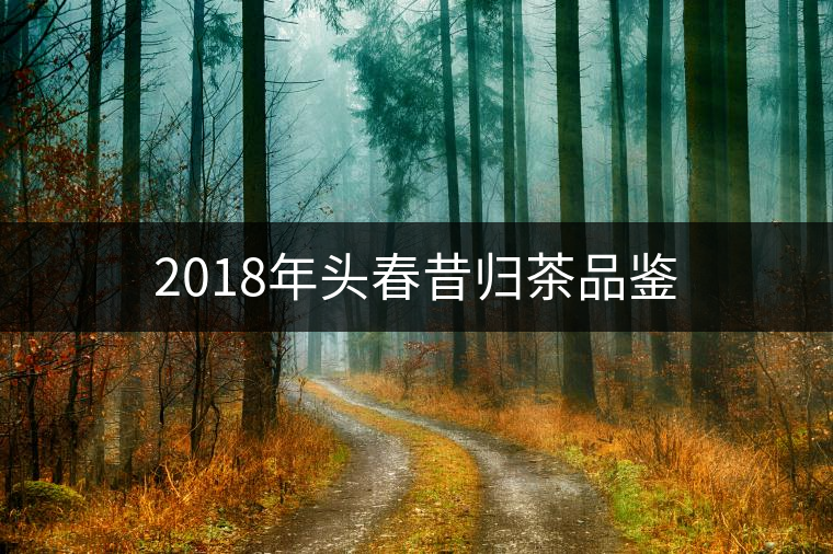 2018年頭春昔歸茶品鑒 2018年頭春昔歸茶品鑒