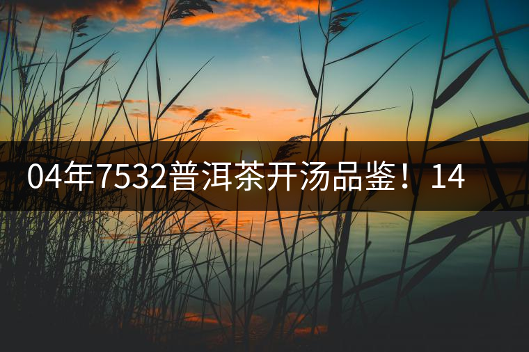 04年7532普洱茶開湯品鑒！14年轉(zhuǎn)化，經(jīng)典雪印配方！