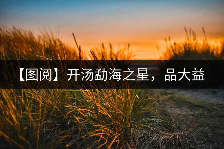 【圖閱】開湯勐海之星，品大益熟茶滋味