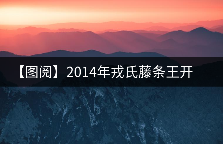 【圖閱】2014年戎氏藤條王開(kāi)湯 【圖閱】2014年戎氏藤條王開(kāi)湯