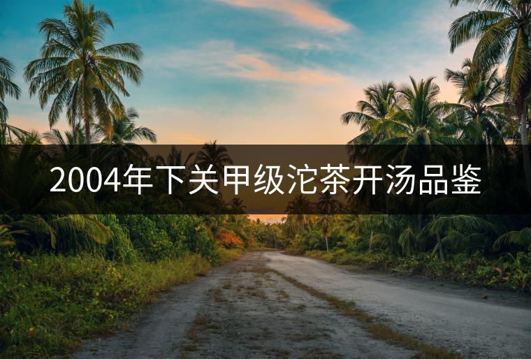 2004年下關甲級沱茶開湯品鑒