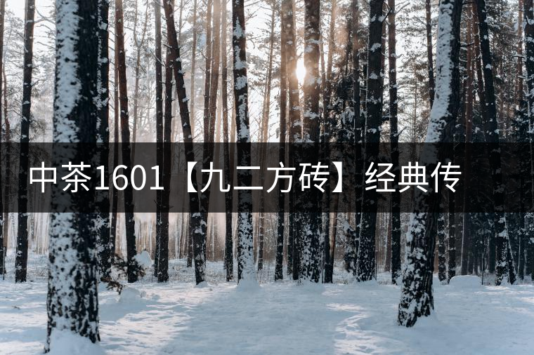 中茶1601【九二方磚】經(jīng)典傳承，巔峰即現(xiàn)