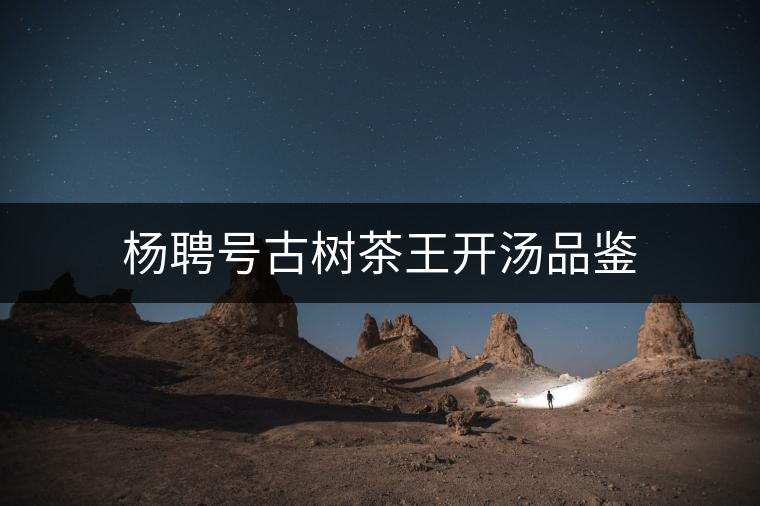 楊聘號(hào)古樹(shù)茶王開(kāi)湯品鑒