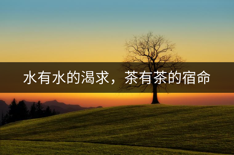 水有水的渴求，茶有茶的宿命