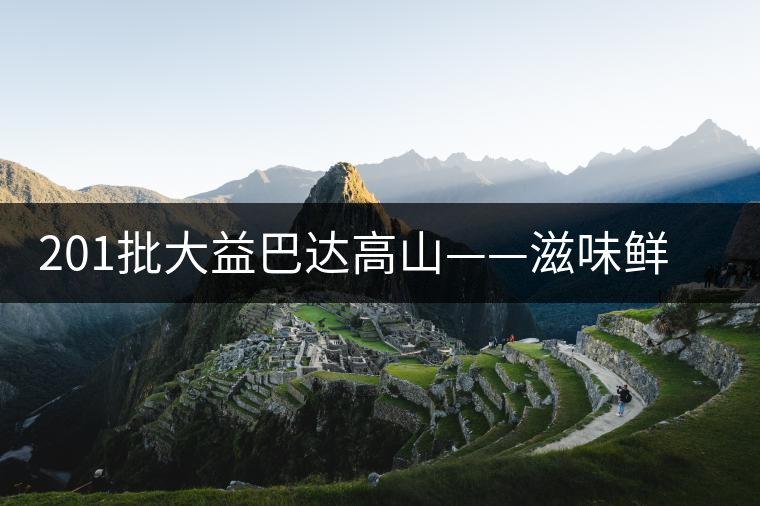 201批大益巴達高山——滋味鮮爽醇厚，回甘高而持久