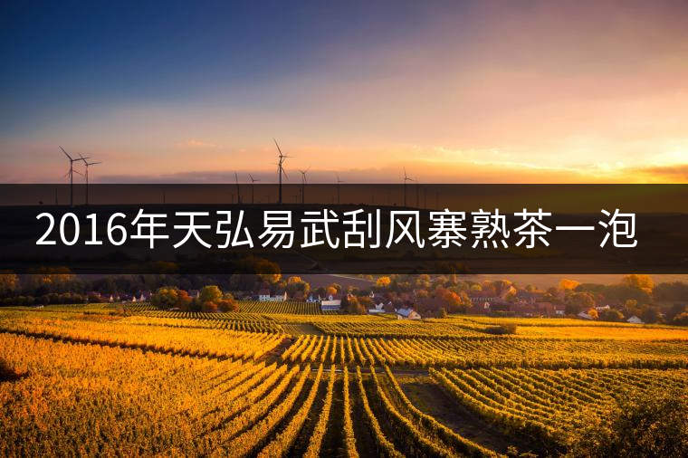 2016年天弘易武刮風(fēng)寨熟茶一泡耐人尋味！