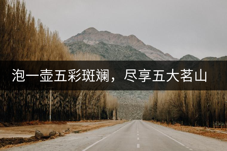 泡一壺五彩斑斕，盡享五大茗山之味