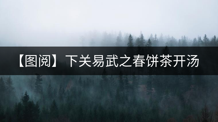 【圖閱】下關(guān)易武之春餅茶開(kāi)湯品鑒 【圖閱】下關(guān)易武之春餅茶開(kāi)湯品鑒