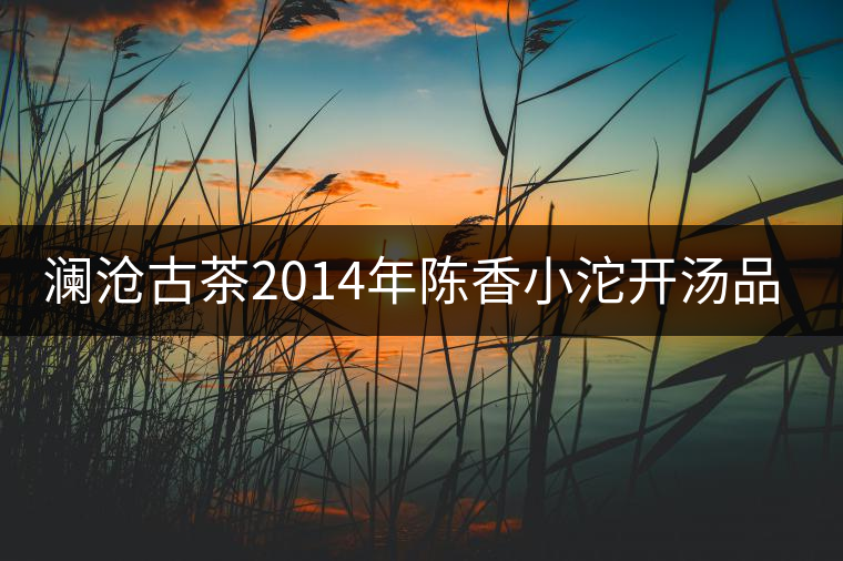 瀾滄古茶2014年陳香小沱開湯品鑒