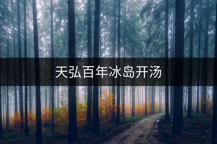 天弘百年冰島開湯