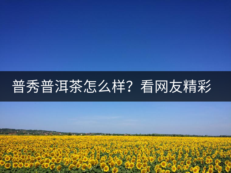 普秀普洱茶怎么樣？看網(wǎng)友精彩回答