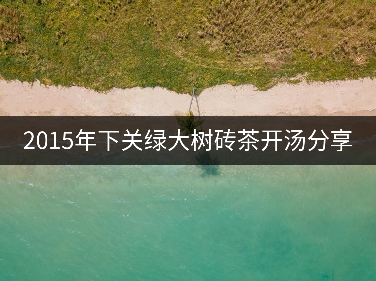 2015年下關(guān)綠大樹(shù)磚茶開(kāi)湯分享