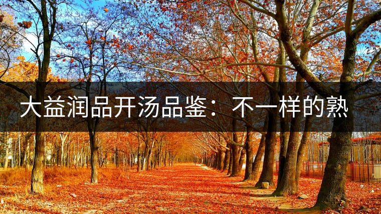 大益潤品開湯品鑒：不一樣的熟茶