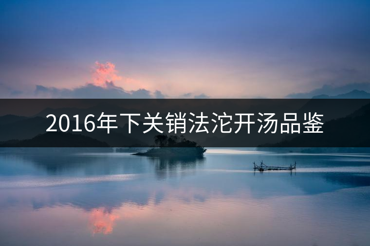 2016年下關(guān)銷法沱開(kāi)湯品鑒 2016年下關(guān)銷法沱開(kāi)湯品鑒