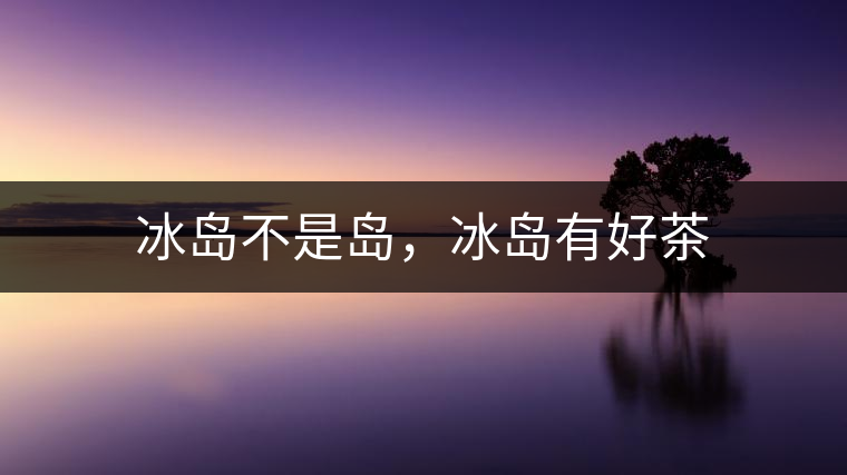 冰島不是島，冰島有好茶