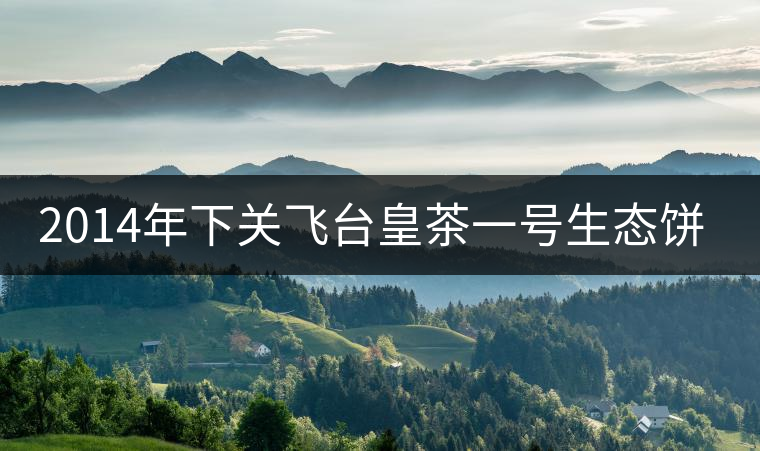 2014年下關飛臺皇茶一號生態(tài)餅品鑒 2014年下關飛臺皇茶一號生態(tài)餅品鑒