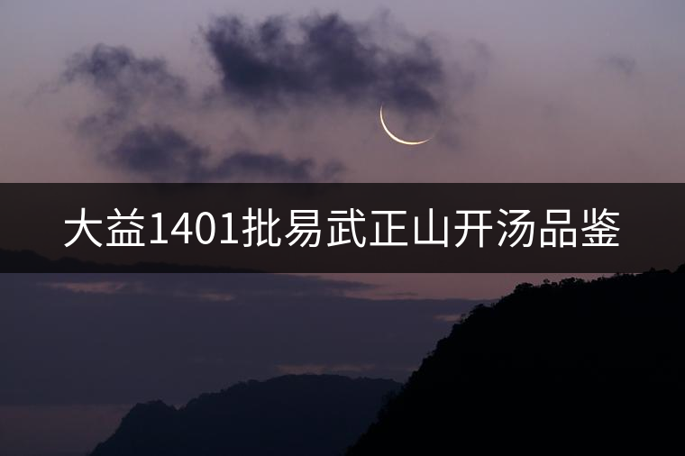 大益1401批易武正山開(kāi)湯品鑒